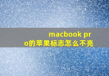 macbook pro的苹果标志怎么不亮